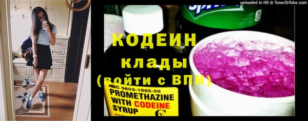 дмт Кодинск