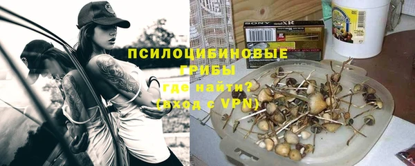 гашик Арсеньев